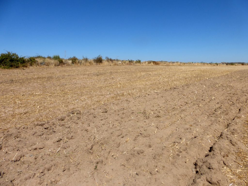 Agricultural land